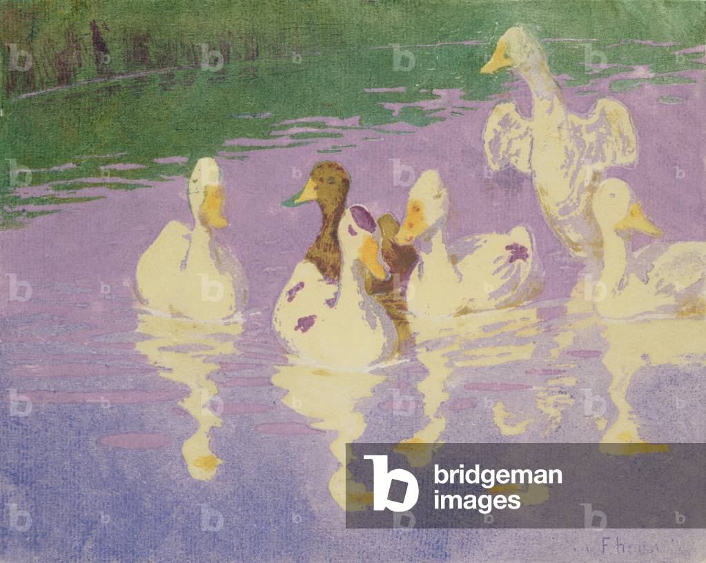 Canards, 1896