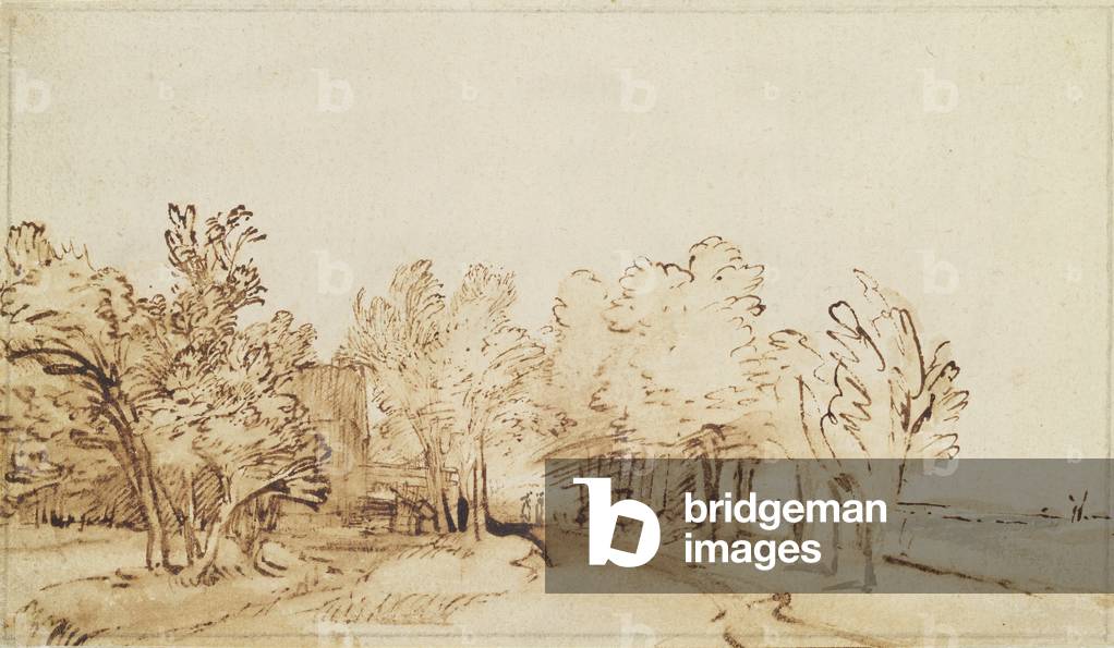 Avenue with a footpath and a farmhouse on the left (pen and brown ink and brush on paper)