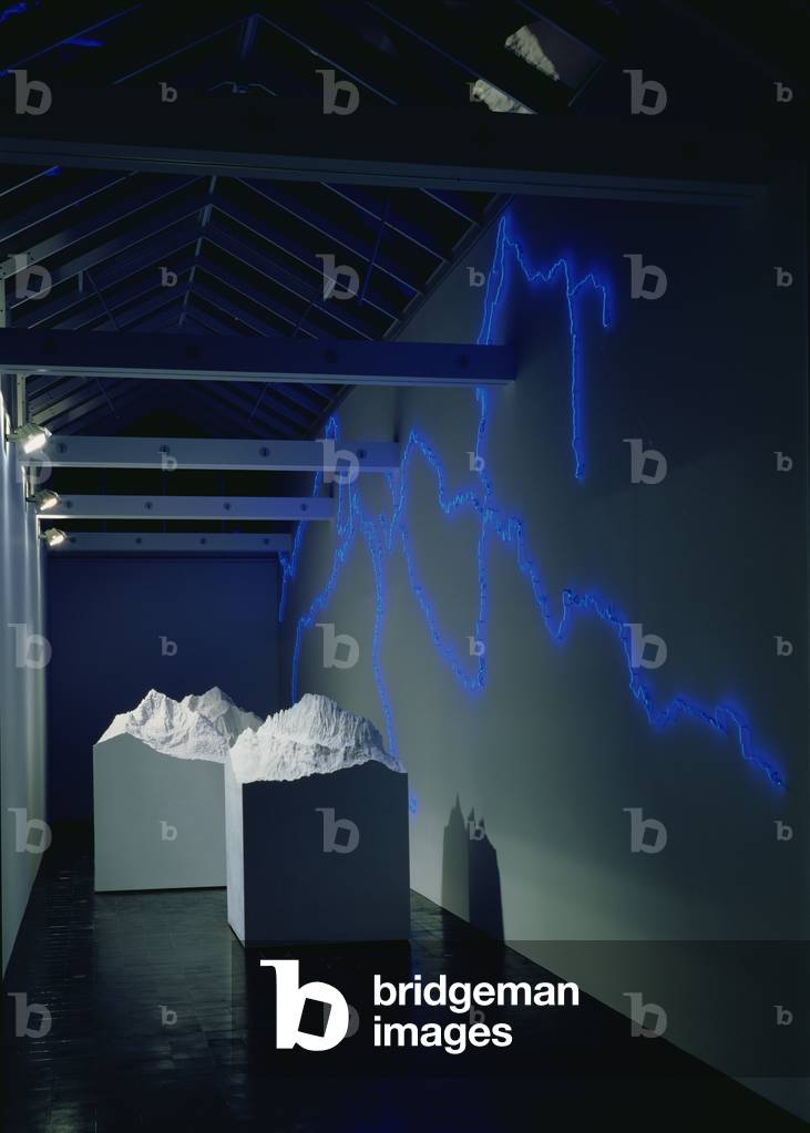 Installation (see also 180829, 180830, 180831) (photo)