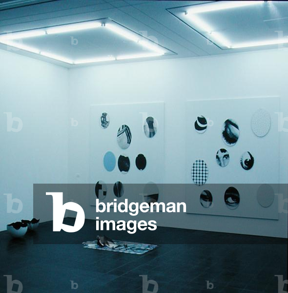 Gallery exhibiting works by Rosemarie Trockel (b.1952) (photo) (see also 182393)