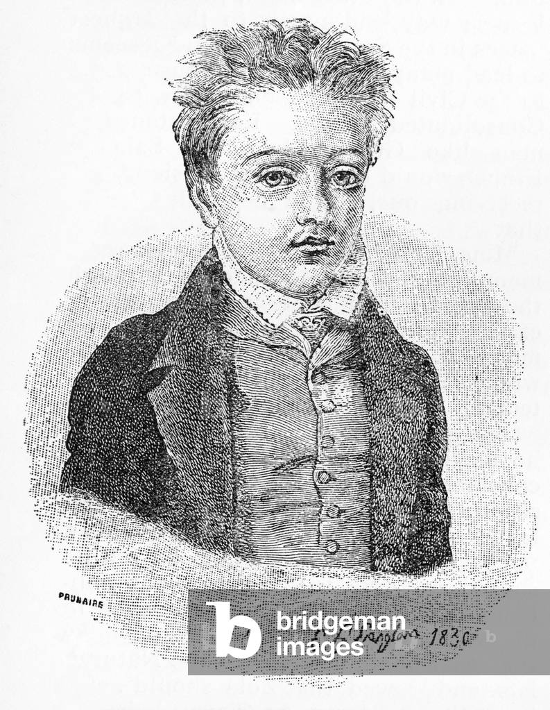 Gustave Flaubert - portrait