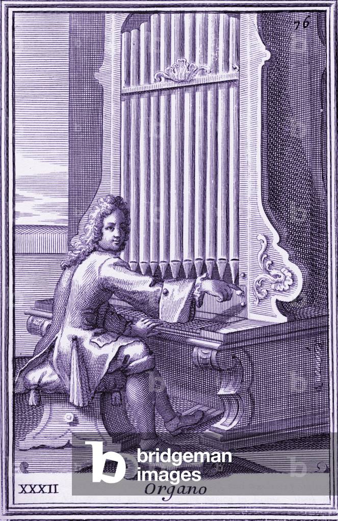 Organ Organ player from