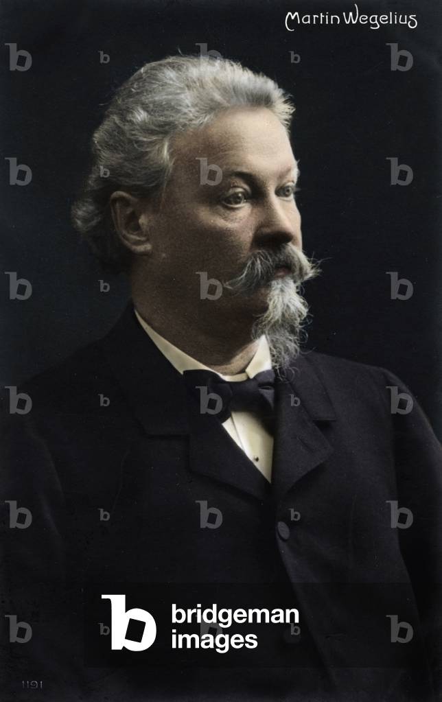 Martin Wegelius - portrait