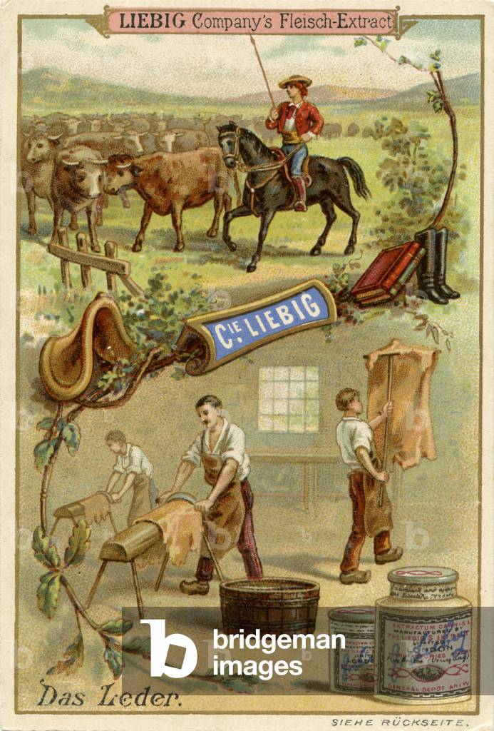 Leather ('Das Leder')