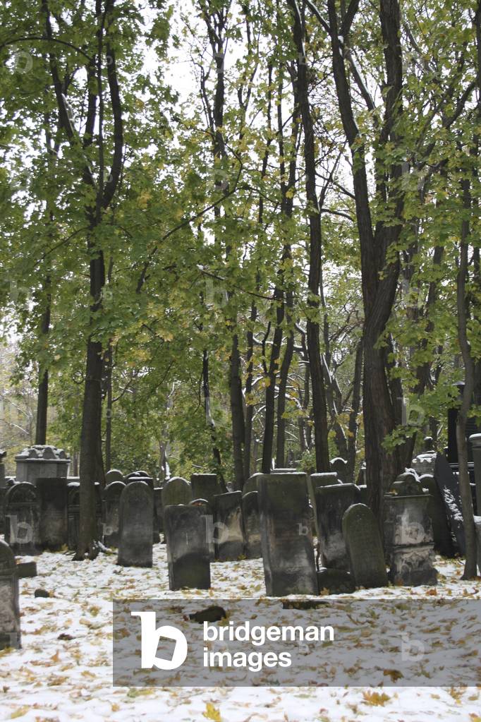Old Jewish Cemetery Warsaw, Poland