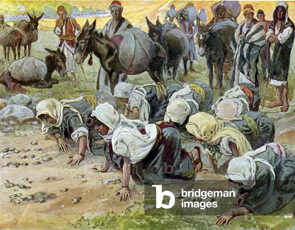 Abigail kneels before David, by Tissot -Bible