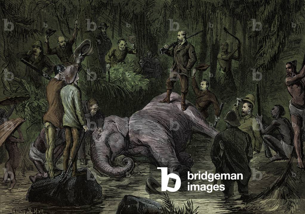 Prince of Wales standing on an elephant he has killed