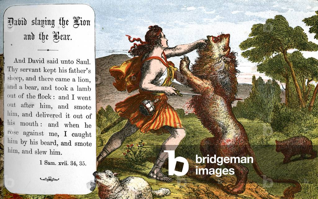 David slaying the lion and the bear. - Bible