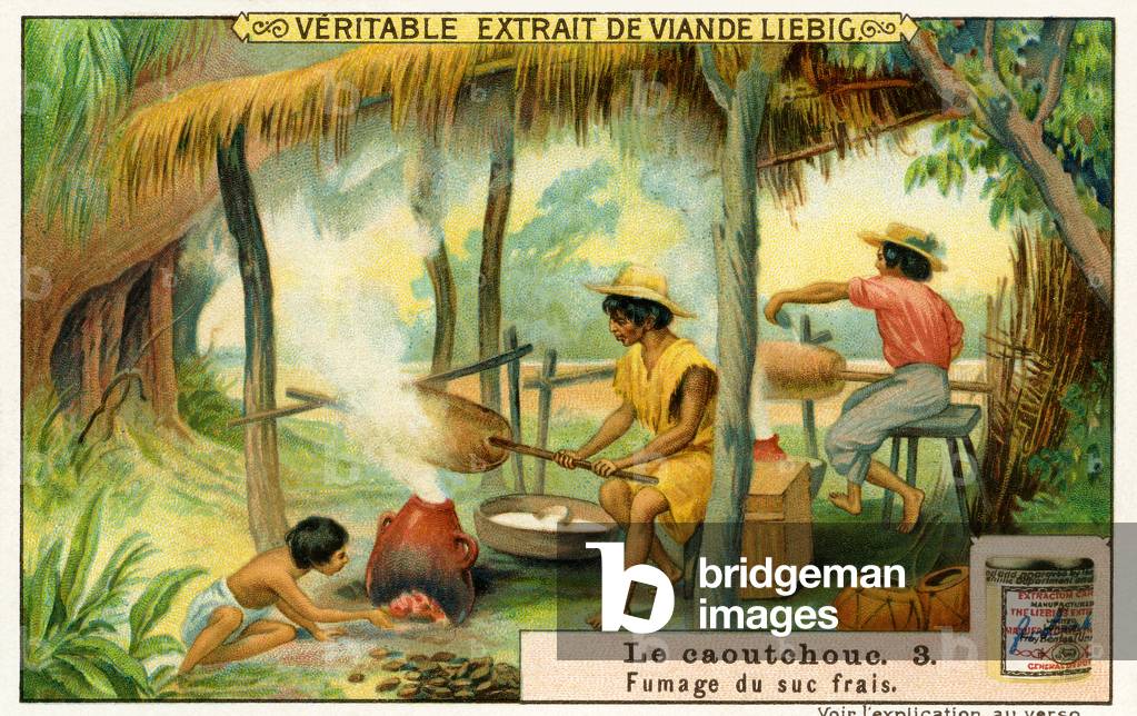 The History of Rubber: Smoking fresh sap