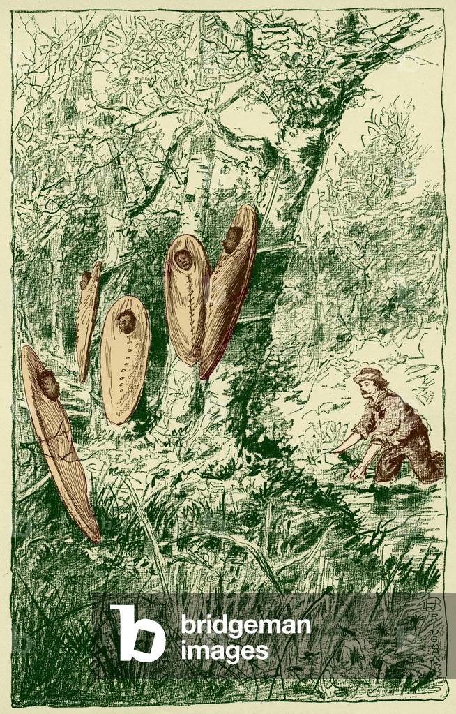 American Indian babies in papooses