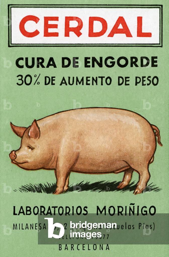 Cendral - Spanish advert for pig feed
