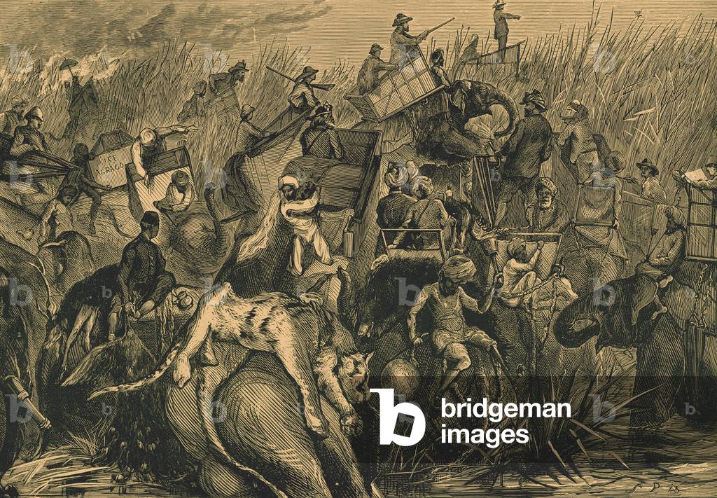 Prince of Wales standing on an elephant he has killed