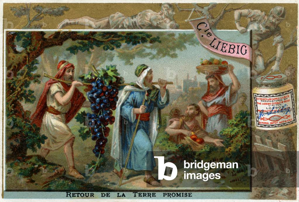 Return from the promised land - Bible