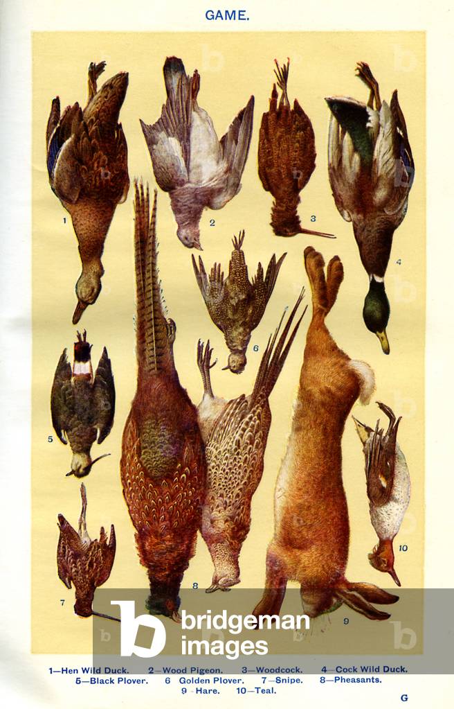 Mrs Beeton's cookery book illustration, 1861 (print)