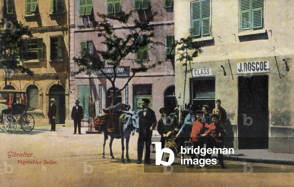 Gibraltar -  vegetable seller, with vegetables on the donkey (psotcard)