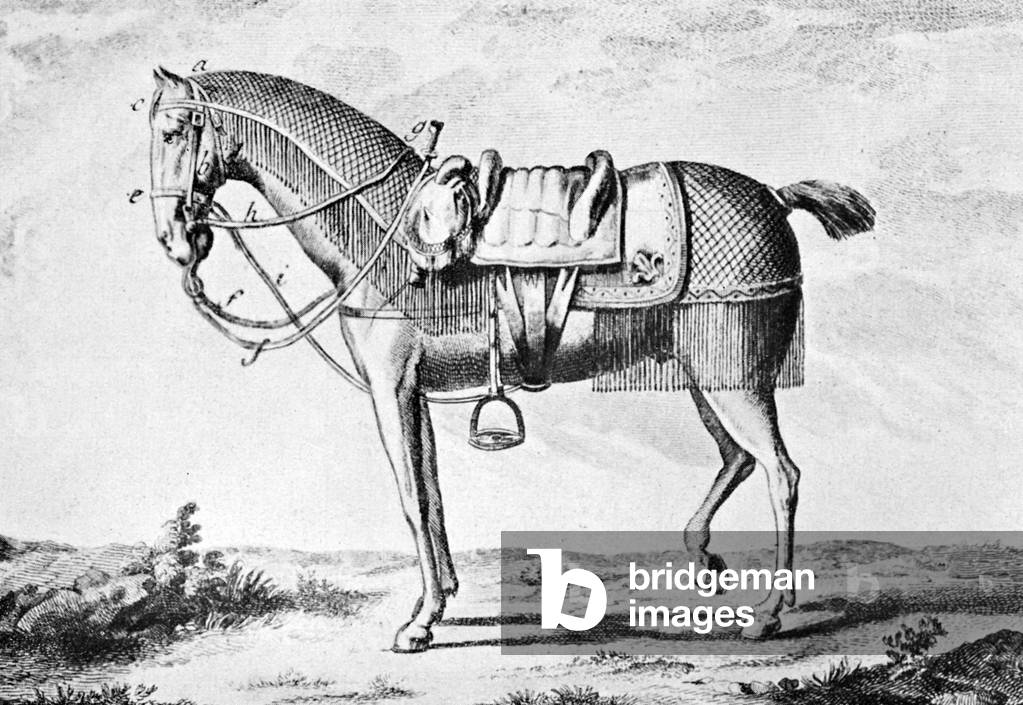 18th century saddle horse,