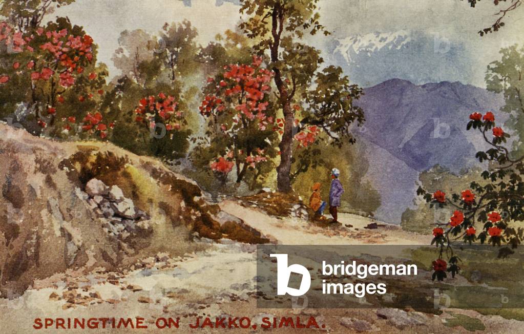 Springtime on Jahko, Simla, India