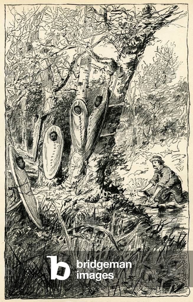 American Indian babies in papooses