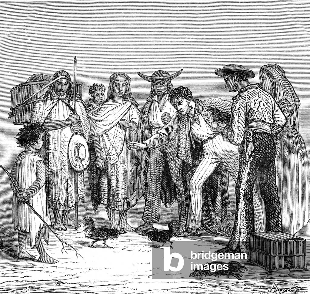 Cockfighting in Mexico