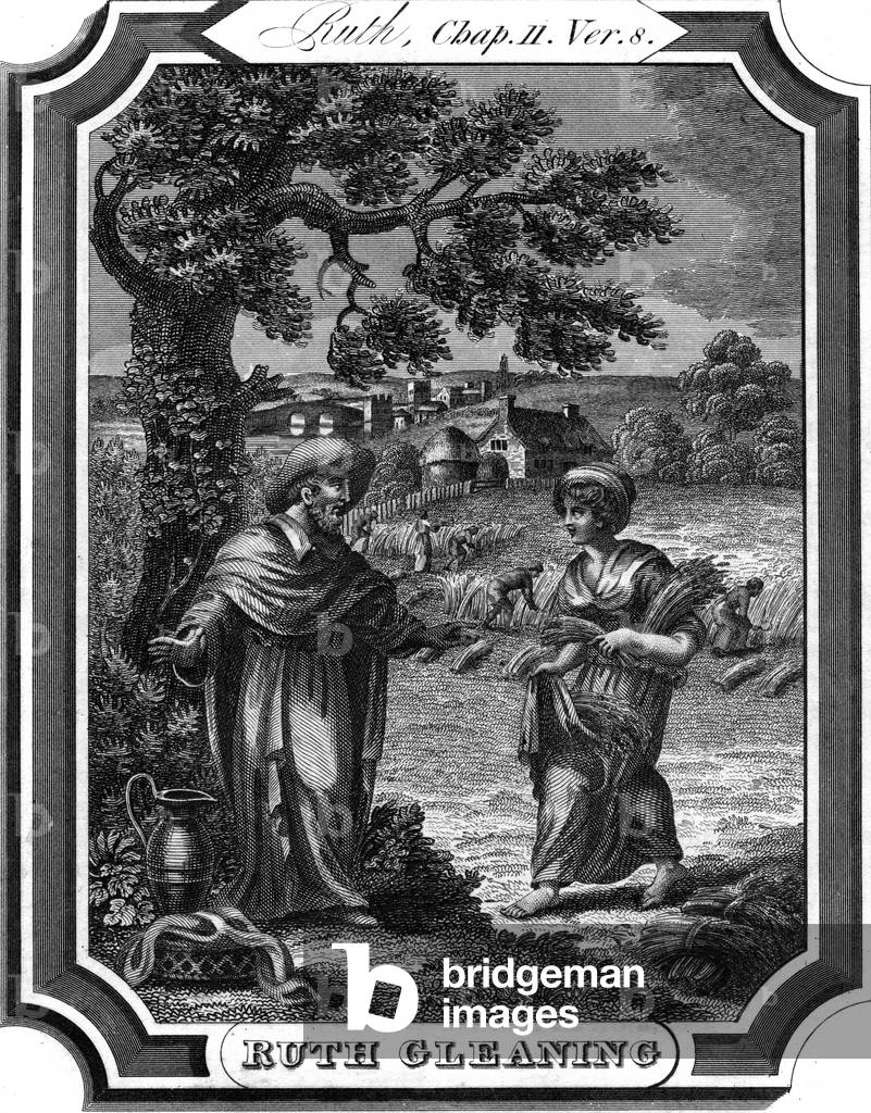 Ruth takes leftover crops from a field - Bible