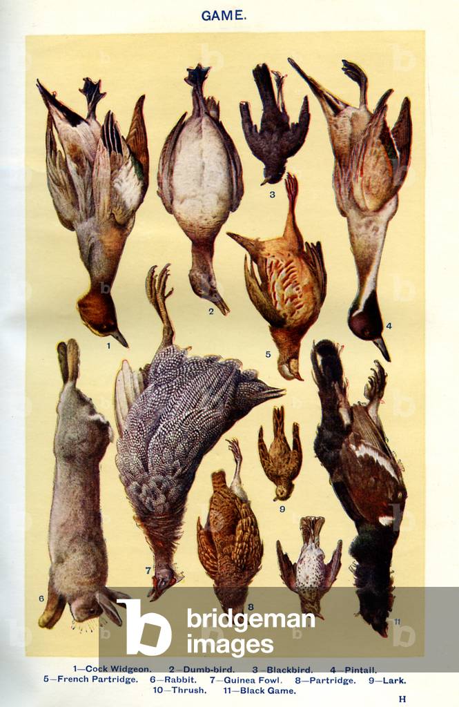 Mrs Beeton's cookery book illustration, 1861 (print)