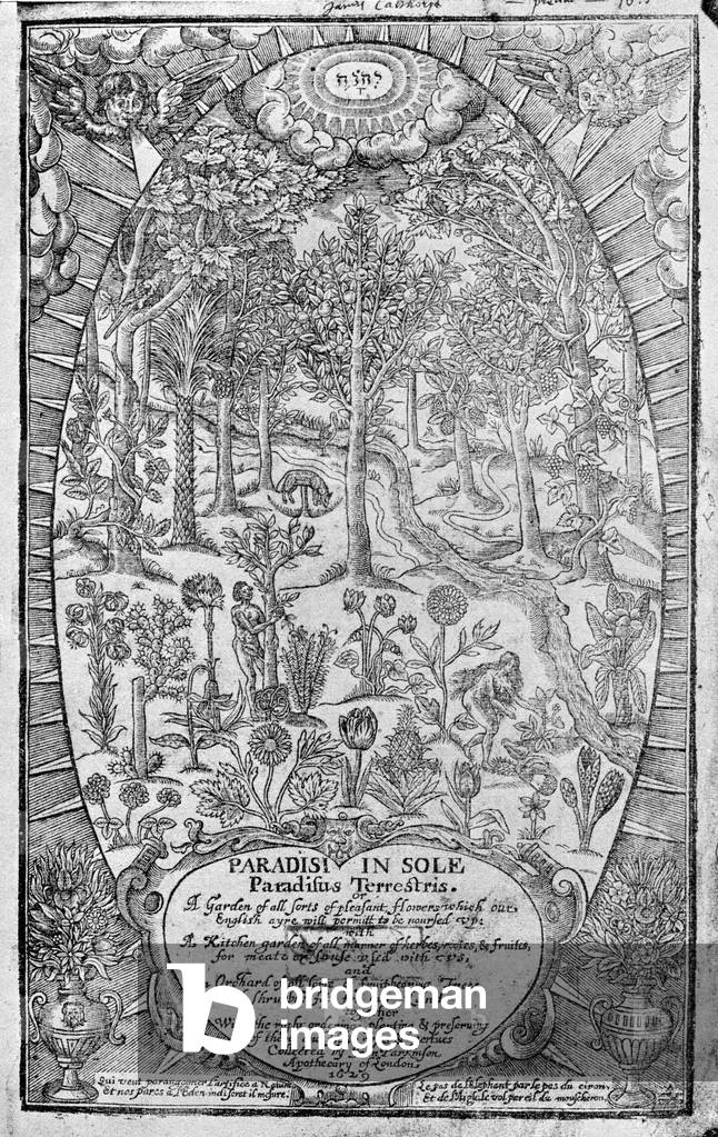John Parkinson 's 'Paradisus', 1629