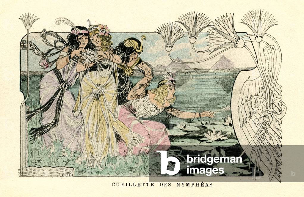 Plucking water lillies