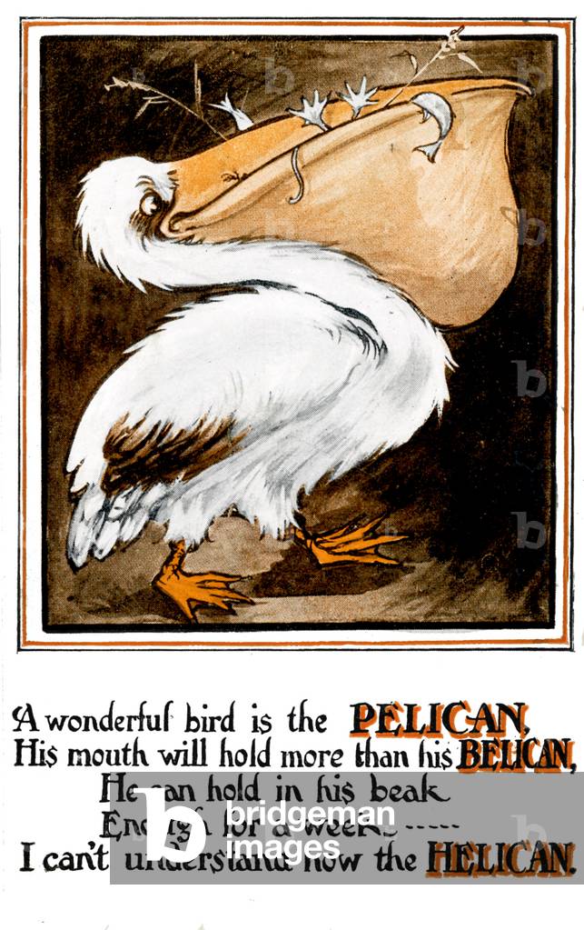 Pelican postcard with limerick: