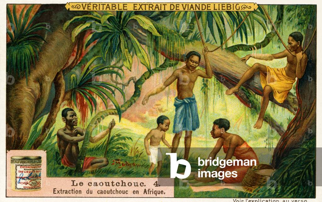 The History of Rubber: Rubber extraction