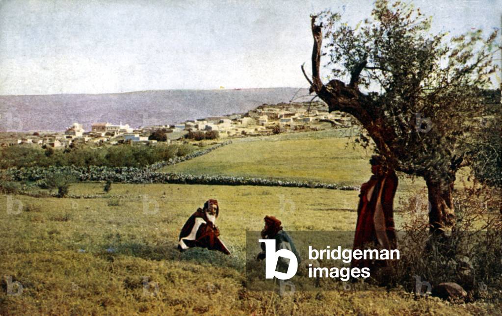 Cana of Galilee (photo)