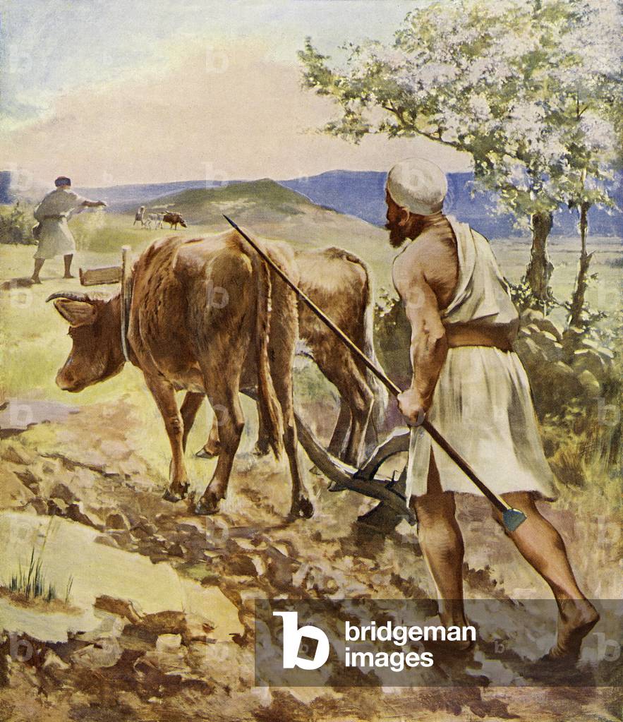 Ploughman working with ox-drawn plough