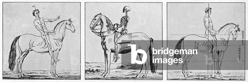 Instructions on the posture on horseback