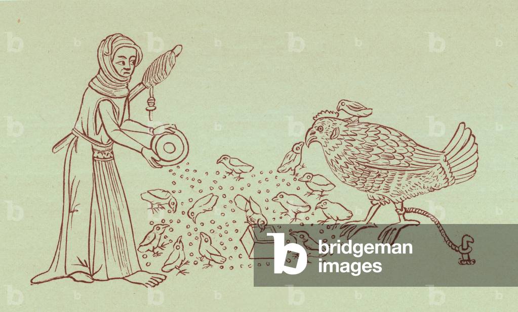 Serf feeding chickens