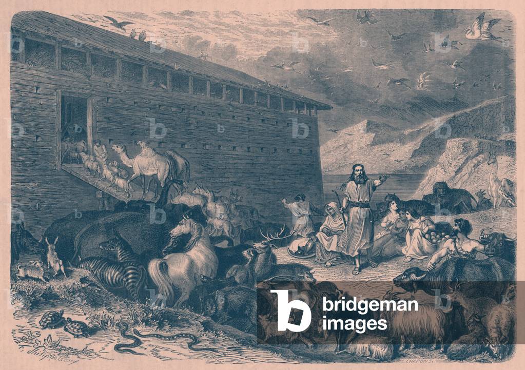 Noah 's Ark - Bible (print)