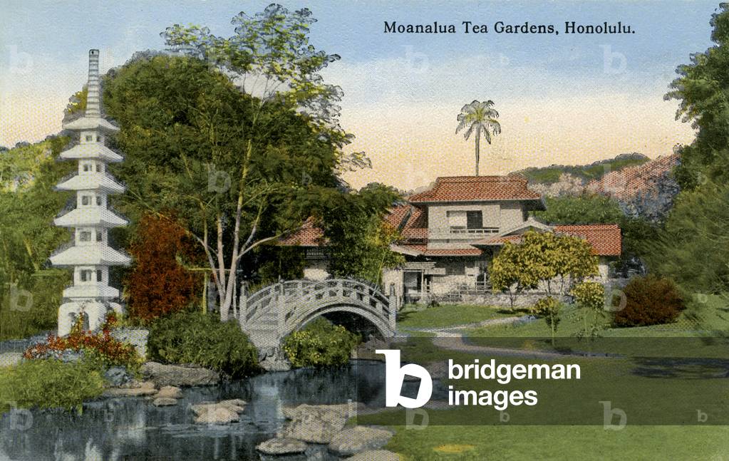 Moanalua Tea Gardens