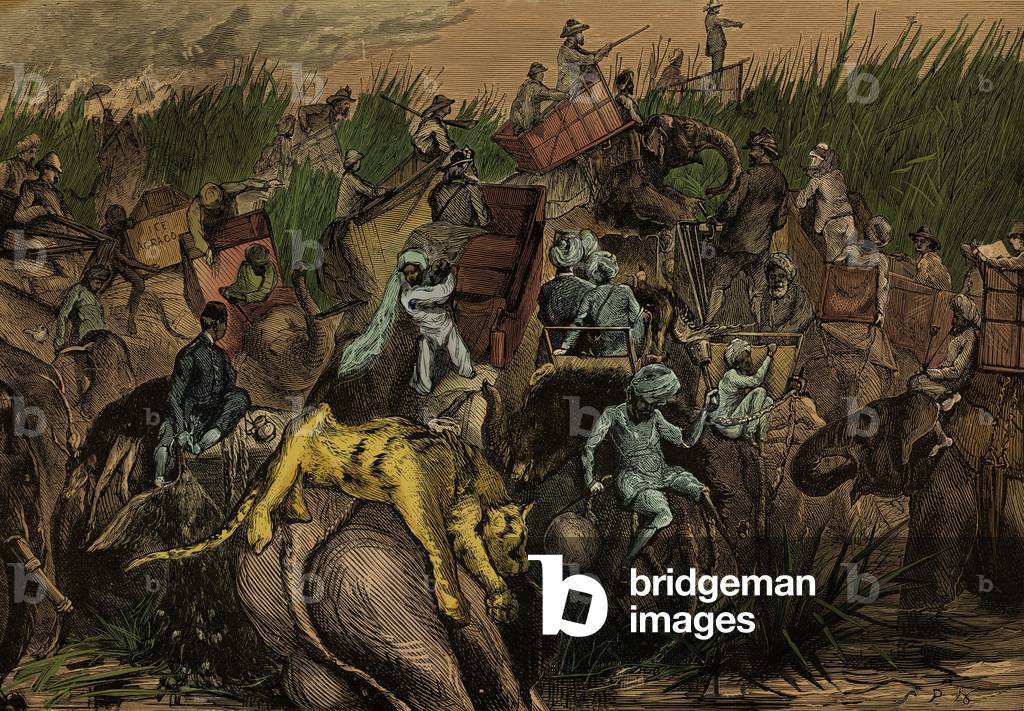 Prince of Wales standing on an elephant he has killed