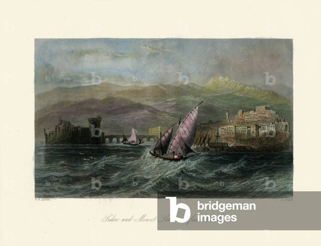 The Holy Land - Sidon and Mount Lebanon - Bible