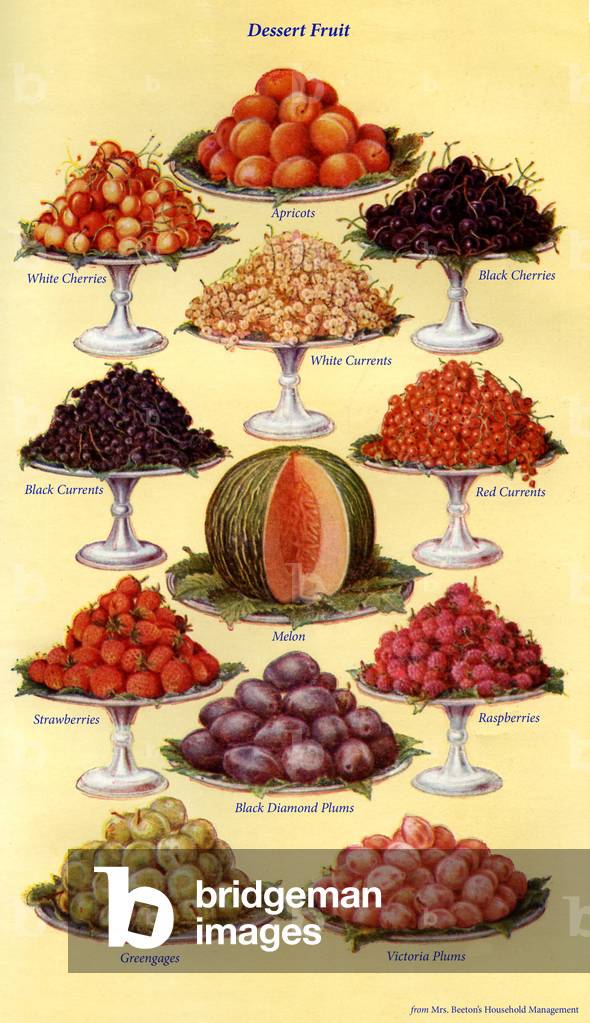 Mrs Beeton's cookery book illustration, 1861 (print)