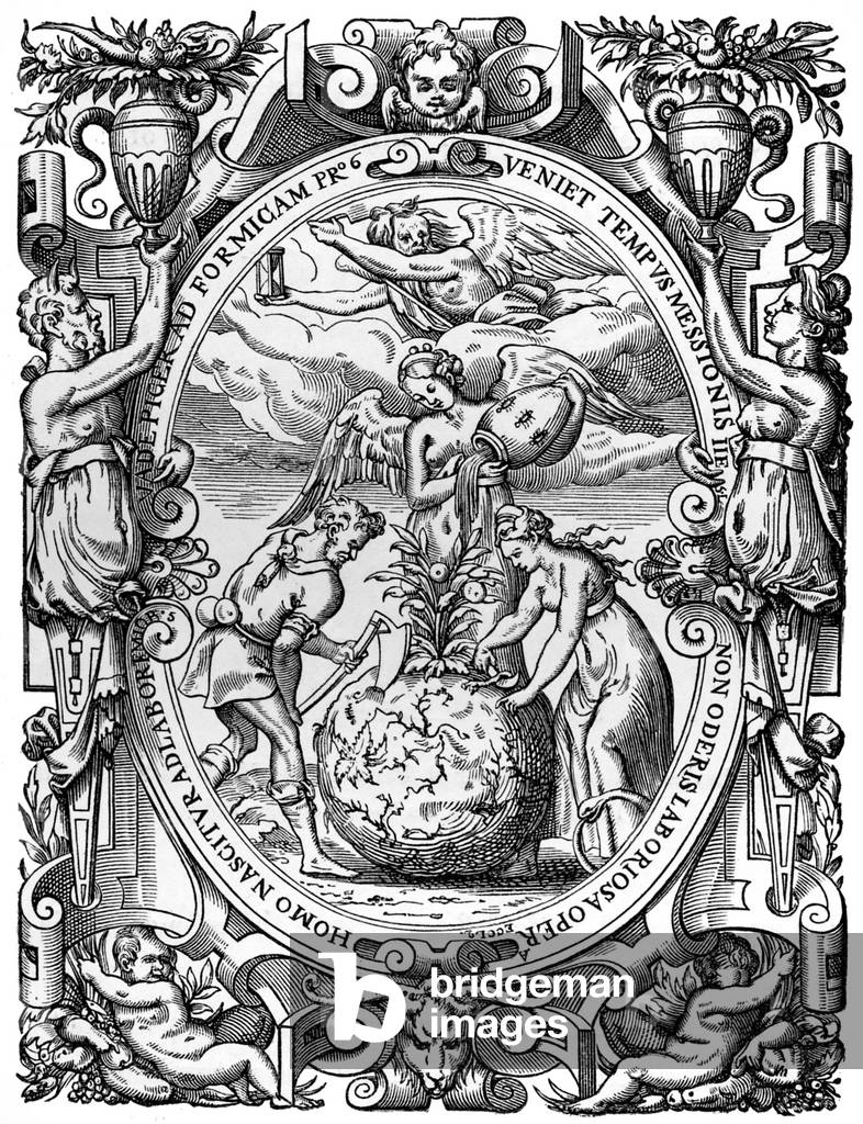 'The Vegetable Kingdom'