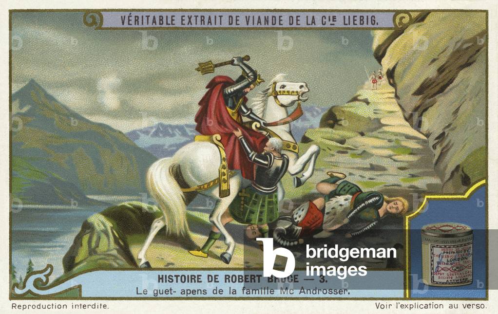 Robert the Bruce