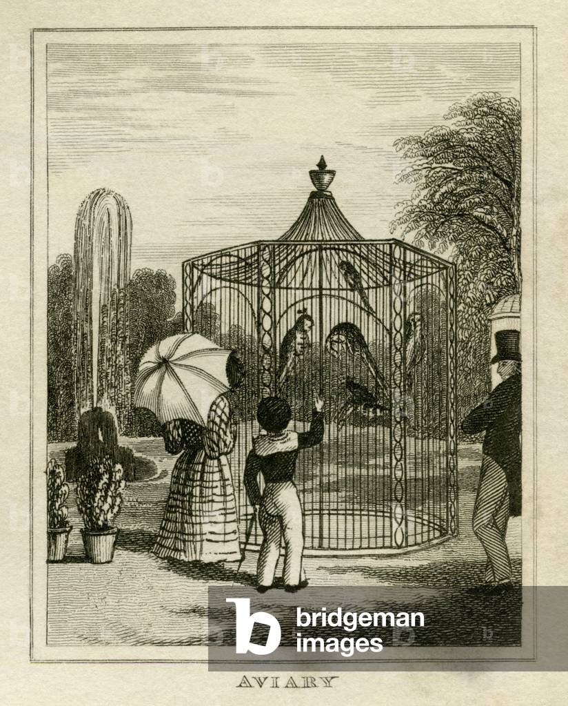 Aviary at Regent's Park Zoo