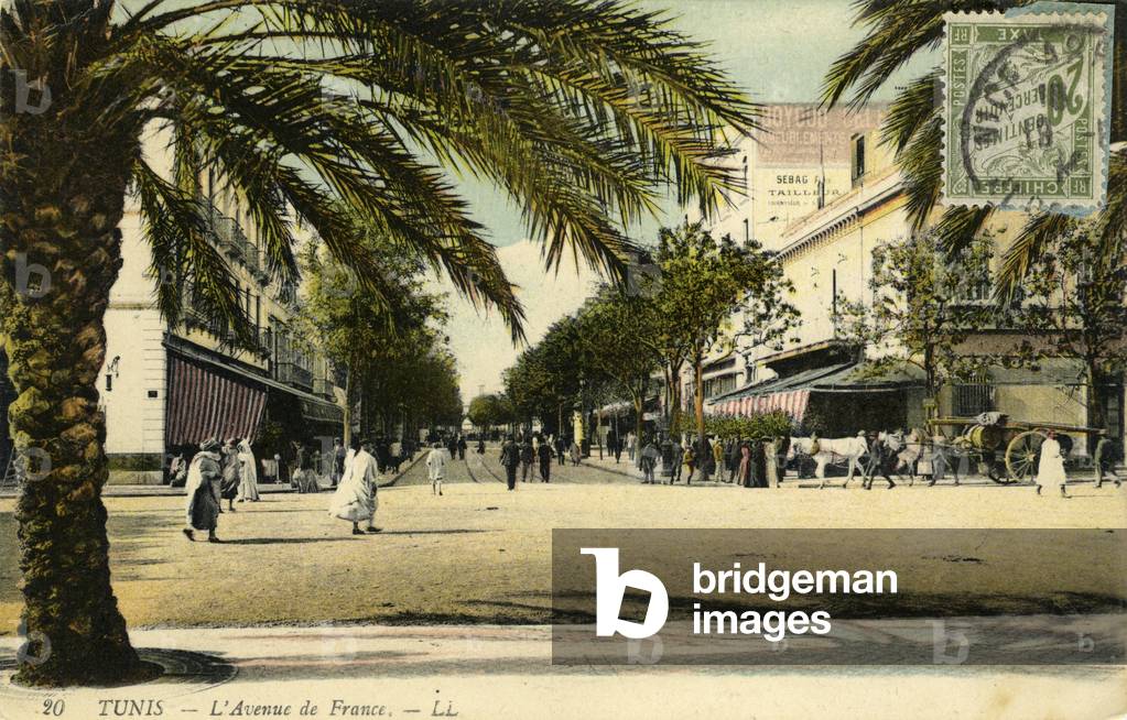 Tunis, late 19th/beg 20th century (postcard)