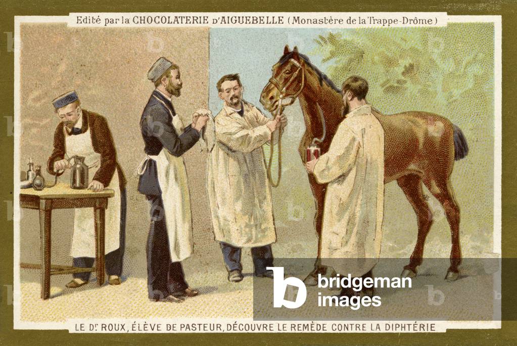 Pierre Paul Émile Roux, 19th century (chromo)