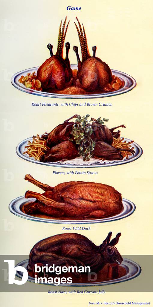 Mrs Beeton 's cookery book - game
