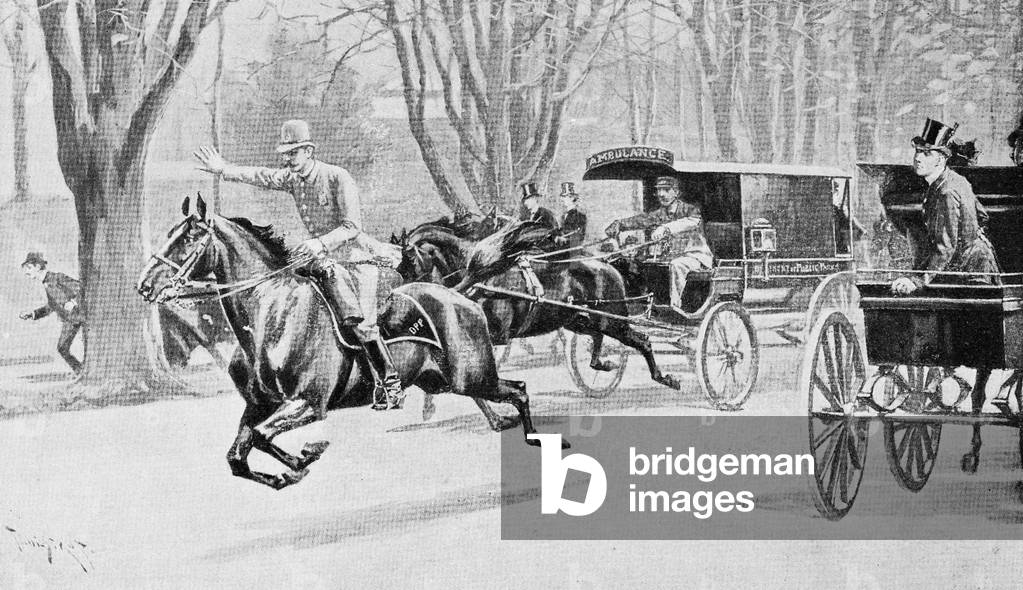 Accident in Central Park