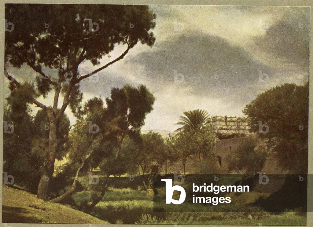 The outskirts of a village near Luxor, Egypt.