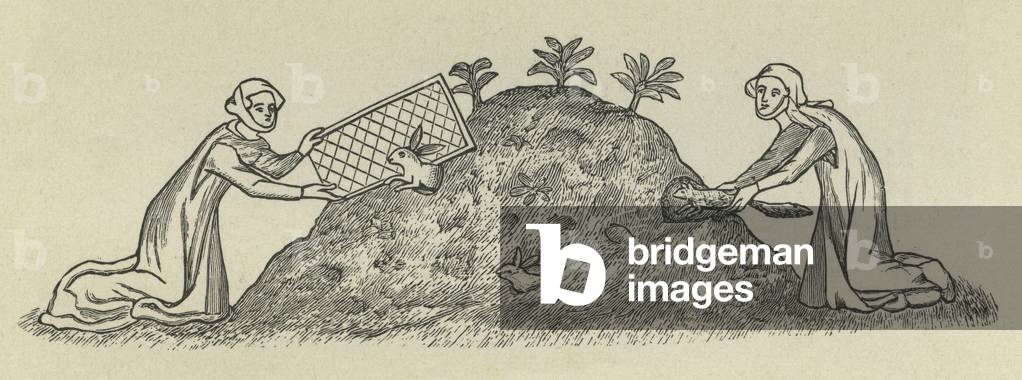 Serf catching rabbits