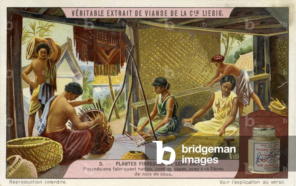 Polynesians weaving coir