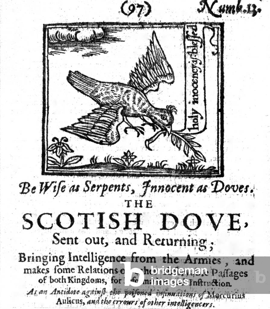 The Scotish Dove