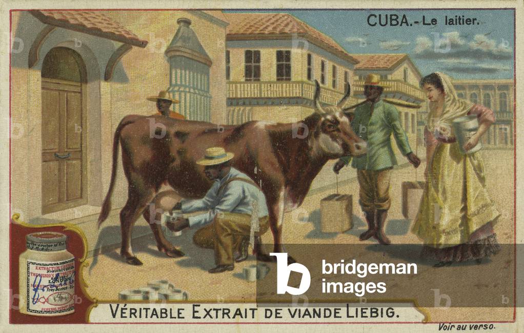 Cow milking, 19th century (chromo)